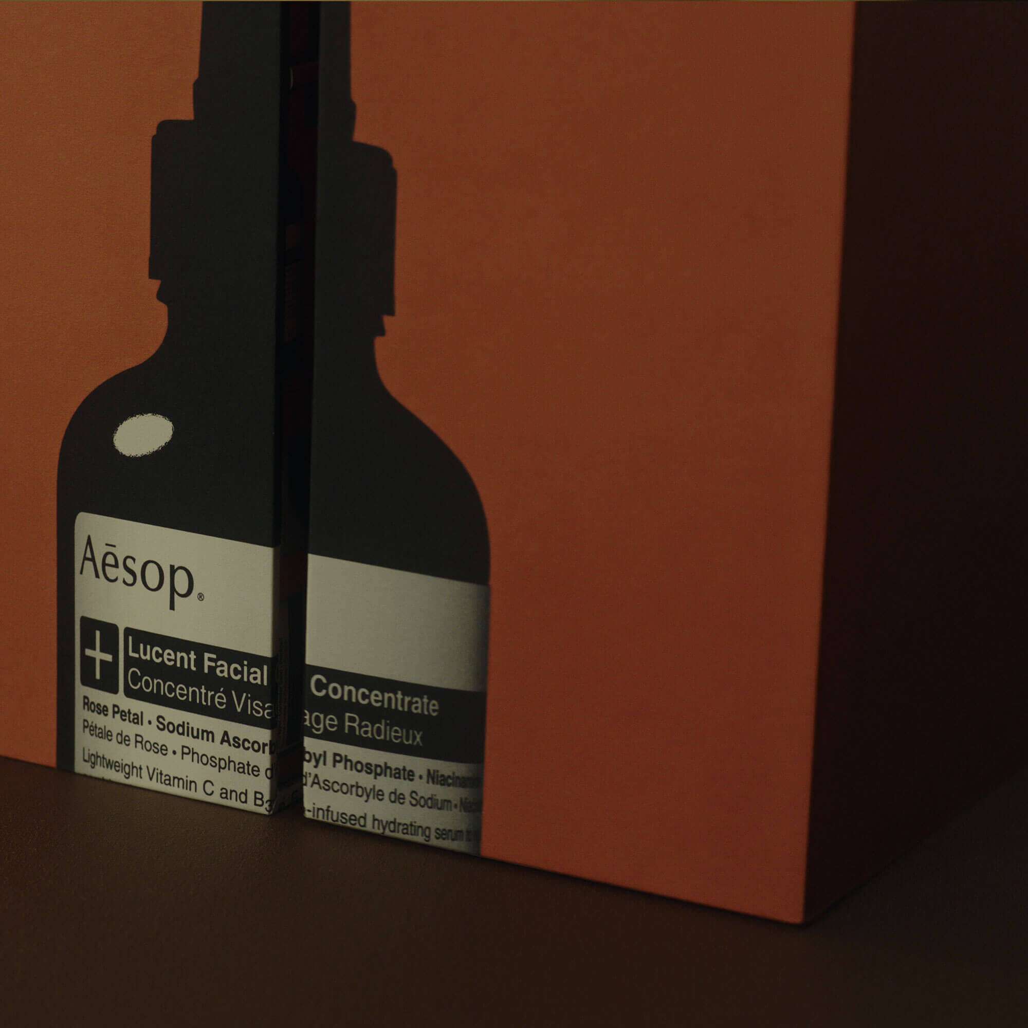 The Aesop Abode