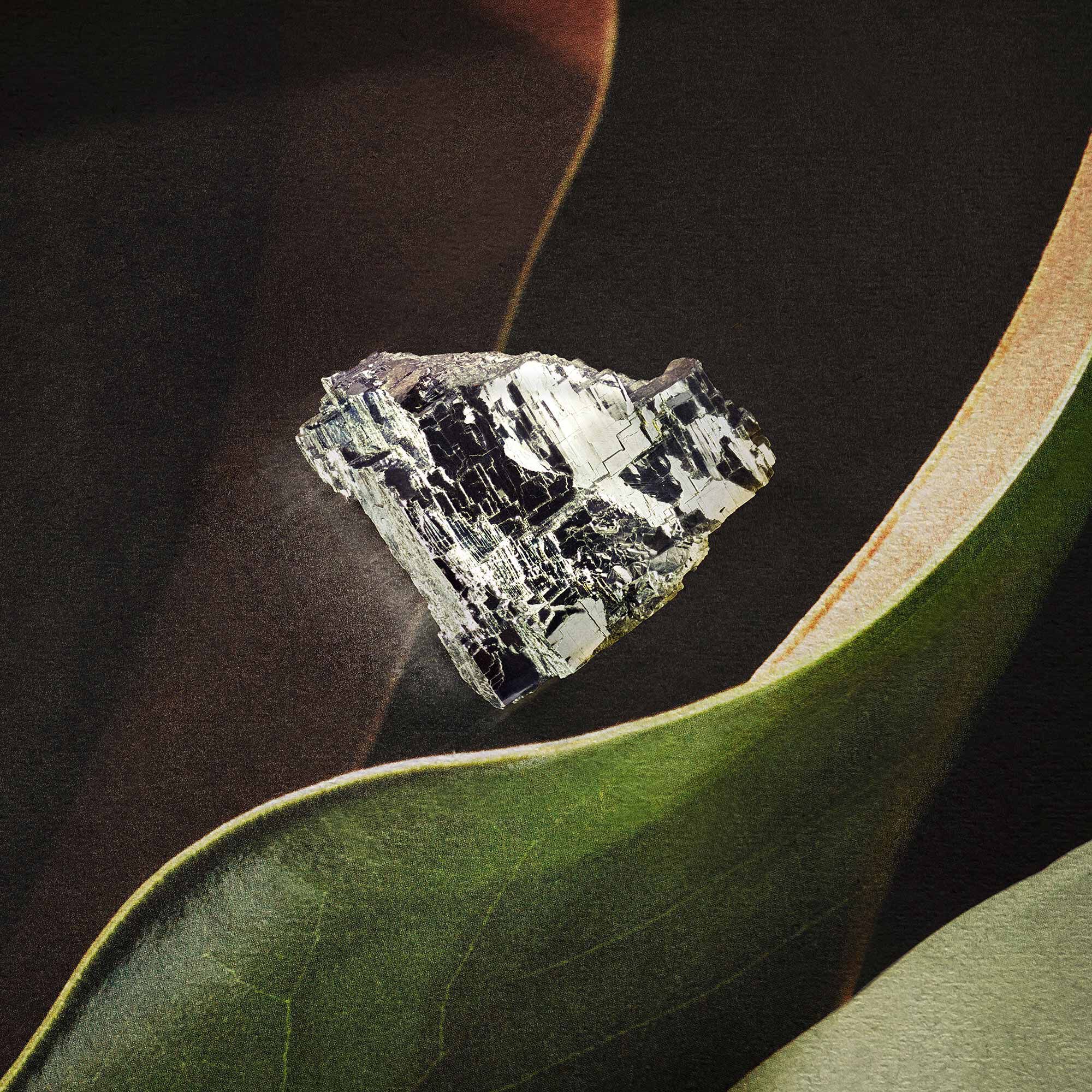 Entirely Aurner Eau de Parfum