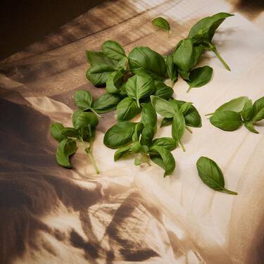 Fresh green basil leaves scattered across folded brown and cream paper, with directional light creating crisp shadows and visible leaf texture.